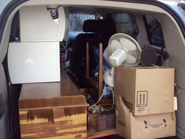 Best Specialty Removal Services in Westminster, LA